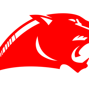 Burton-Panthers - Görsel 1