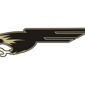 Bushland-Falcons - Görsel 1