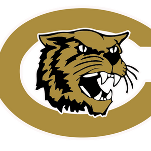 Canadian-Wildcats - Görsel 1