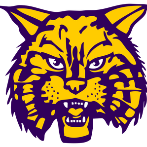 Carrizo-Springs-Wildcats - Görsel 1