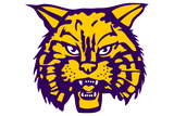 Carrizo-Springs-Wildcats - Görsel 1