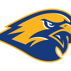 Channelview-Falcons - Görsel 1