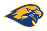 Channelview-Falcons - Görsel 1