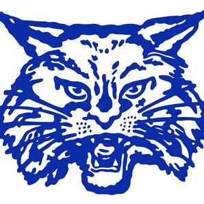 Childress-Bobcats - Görsel 1
