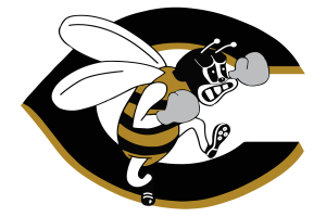 Cleburne-Yellowjackets - Görsel 2