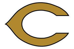 Cleburne-Yellowjackets - Görsel 4