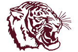 College-Station-AM-Consolidated-Tigers - Görsel 1