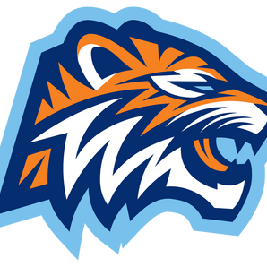 Corpus-Christi-Carroll-Tigers - Görsel 1