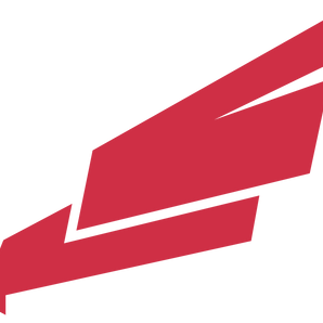 Dallas-Bishop-Dunne-Falcons - Görsel 1