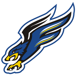 Dallas-Fairhill-Falcons - Görsel 1