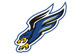Dallas-Fairhill-Falcons - Görsel 1