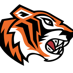 Dallas-International-Tigres - Görsel 1