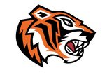 Dallas-International-Tigres - Görsel 1