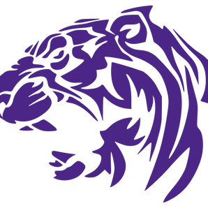 Dallas-Lincoln-Tigers - Görsel 1
