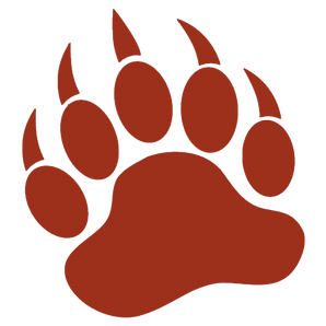 Dallas-Ursuline-Bears - Görsel 1