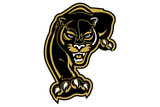 Danbury-Panthers - Görsel 1