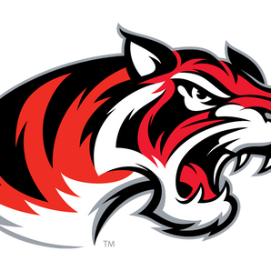 Denton-Braswell-Bengals - Görsel 1