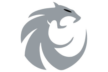 Denton-Guyer-Wildcats - Görsel 2