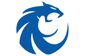 Denton-Guyer-Wildcats - Görsel 3