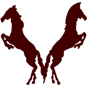 Devine-ArabiansWarhorses - Görsel 1