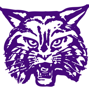 Dimmitt-Bobcats - Görsel 1