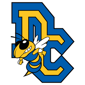 Dodd-City-Hornets - Görsel 1