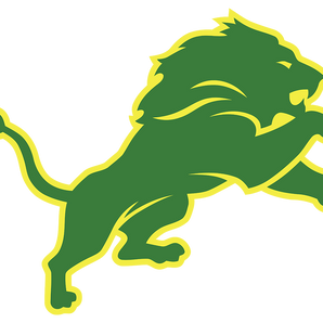 Dublin-Lions - Görsel 1