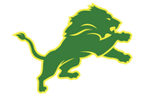 Dublin-Lions - Görsel 1