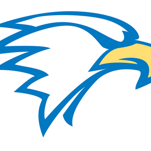 Edinburg-IDEA-Eagles - Görsel 1