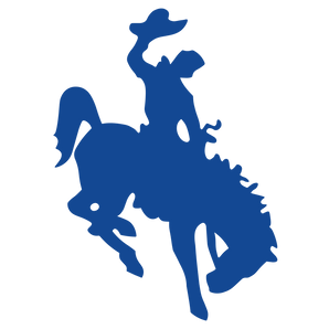 Edna-Cowboys - Görsel 1