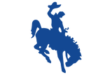 Edna-Cowboys - Görsel 1