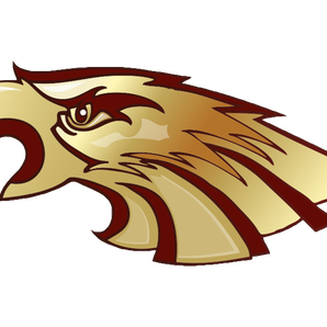 El-Paso-Andress-Eagles - Görsel 1