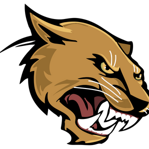 El-Paso-Austin-Panthers - Görsel 1