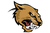 El-Paso-Austin-Panthers - Görsel 1