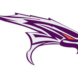 El-Paso-Eastlake-Falcons - Görsel 1