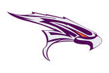 El-Paso-Eastlake-Falcons - Görsel 1