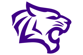 Elgin-Wildcats - Görsel 1