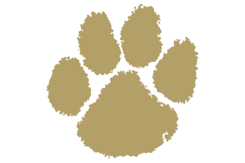 Fabens-Wildcats - Görsel 2