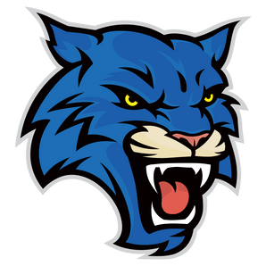 Fort-Worth-Dunbar-Wildcats - Görsel 1
