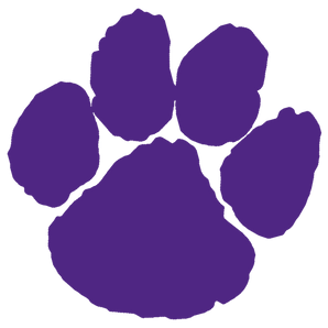 Fort-Worth-Paschal-Panthers - Görsel 1