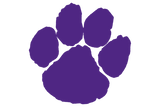Fort-Worth-Paschal-Panthers - Görsel 1