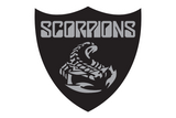 Fort-Worth-South-Hills-Scorpions - Görsel 1