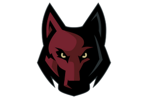 Frisco-Heritage-Coyotes - Görsel 1