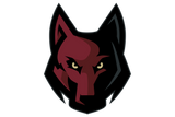 Frisco-Heritage-Coyotes - Görsel 1