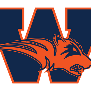 Frisco-Wakeland-Wolverines - Görsel 1