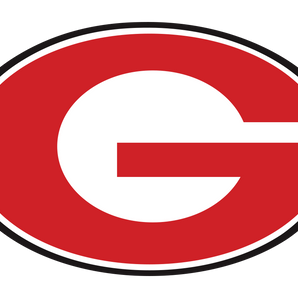 Gainesville-Leopards - Görsel 1