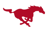 Galena-Park-North-Shore-Mustangs - Görsel 3