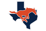 Garland-Sachse-Mustangs - Görsel 1