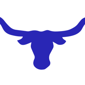 George-West-Longhorns - Görsel 1