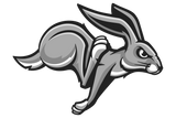 Graford-Jackrabbits - Görsel 1